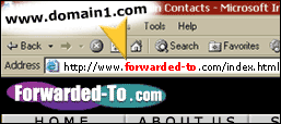 forward domain name to another web site